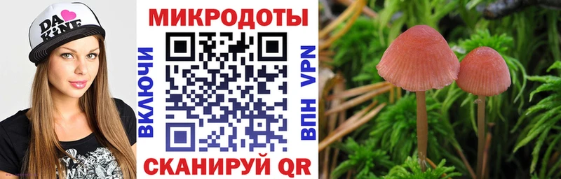 Галлюциногенные грибы Cubensis  Сосновый Бор 