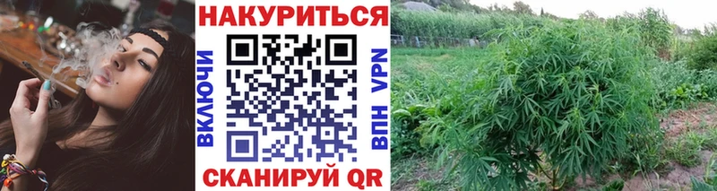 купить наркоту  Сосновый Бор  МАРИХУАНА LSD WEED 